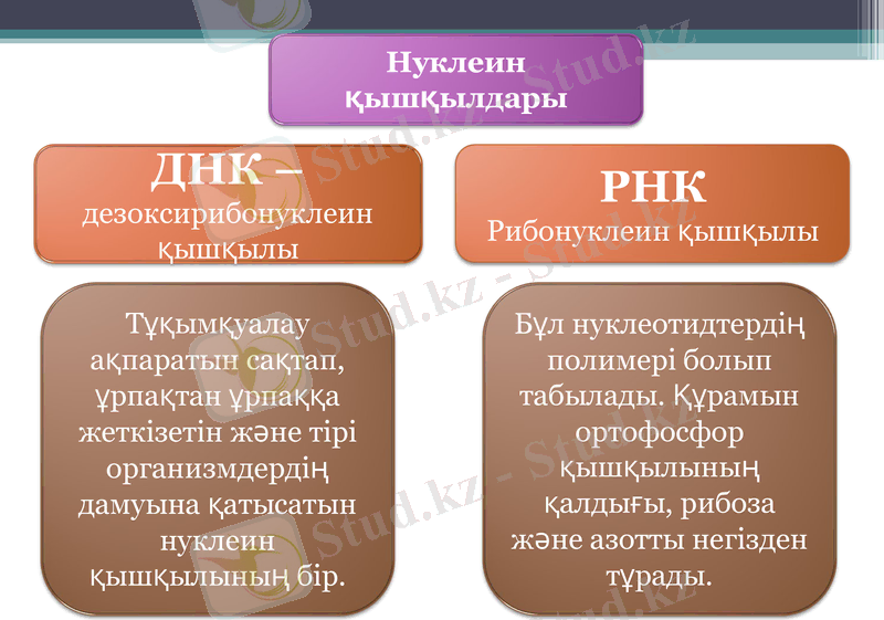 Slide 7