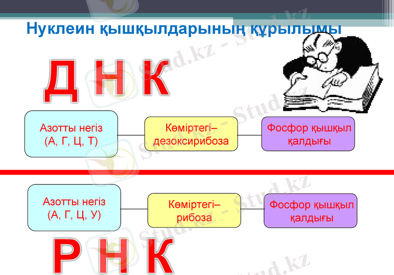 Slide 8