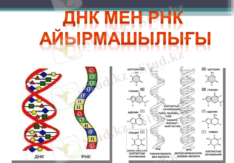 Slide 9