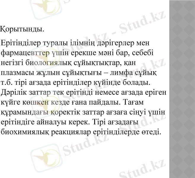 Slide 13