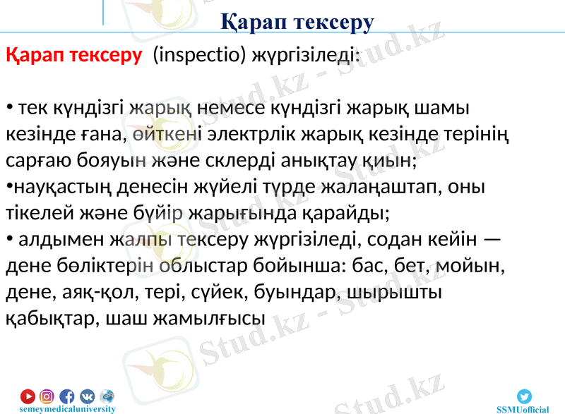 Slide 13