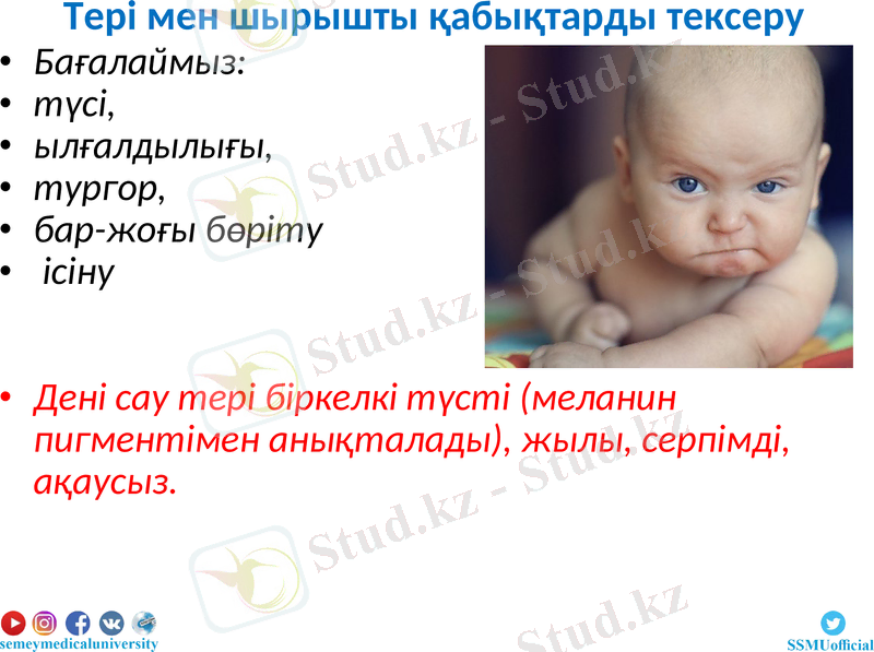 Slide 21