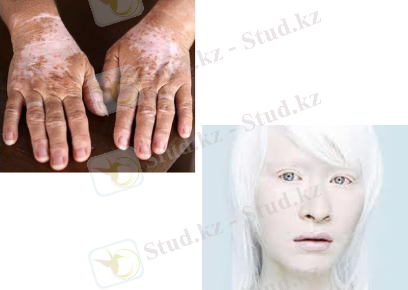 Slide 24