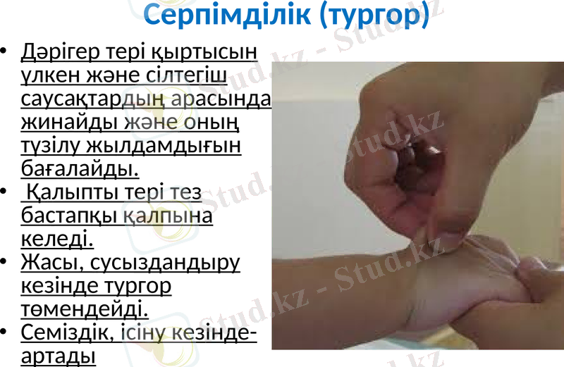 Slide 26