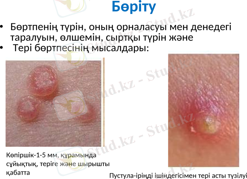 Slide 27