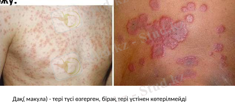 Slide 29