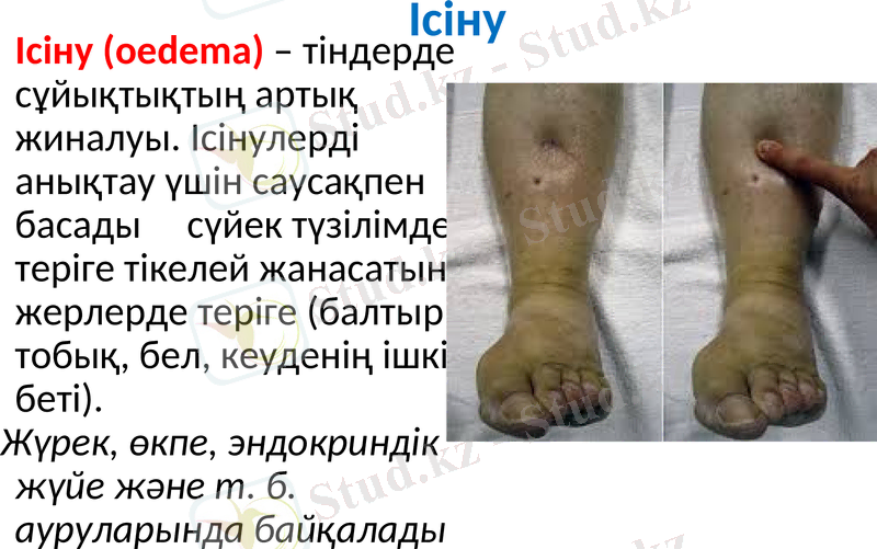 Slide 30