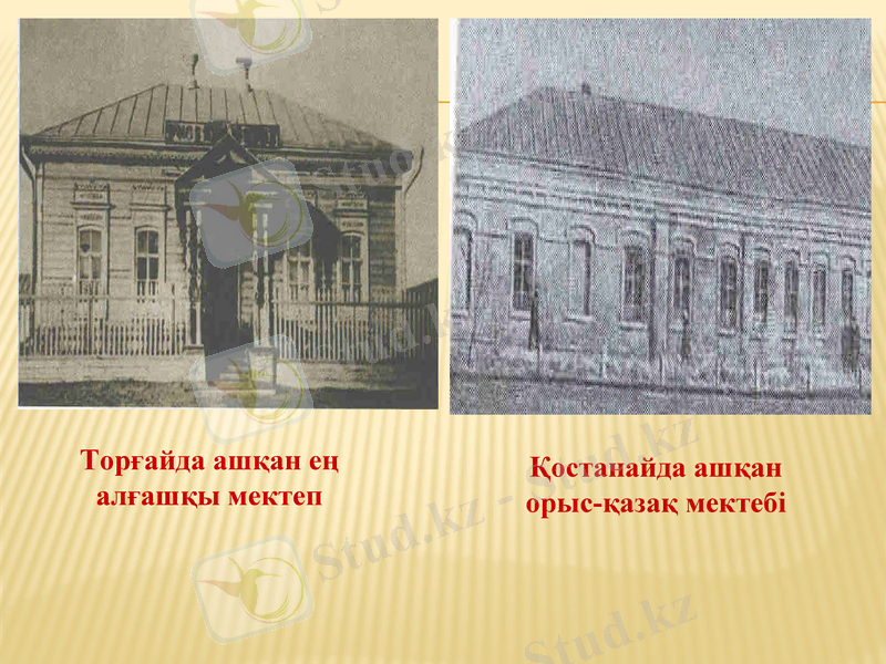 Slide 7