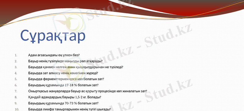 Slide 6