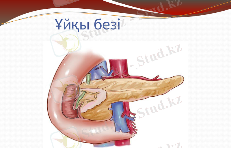 Slide 7