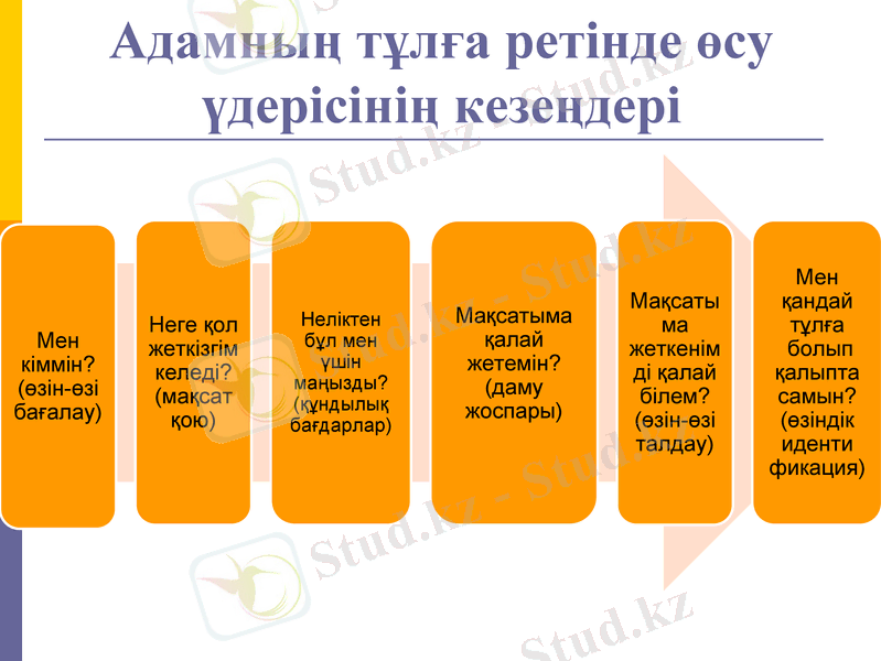 Slide 11