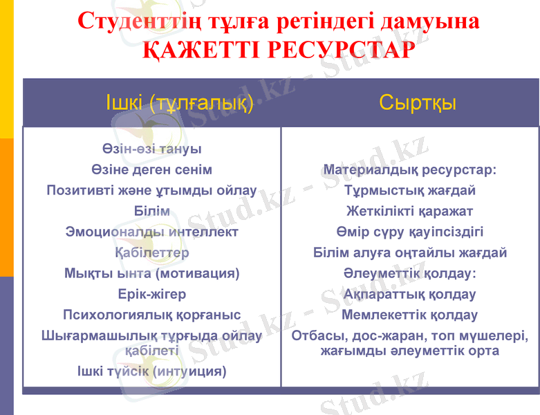 Slide 13