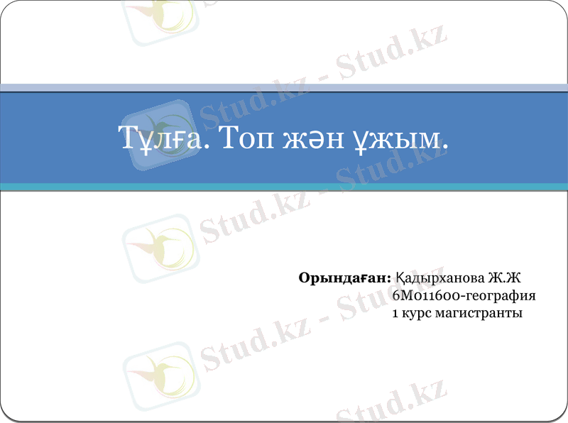 Slide 2