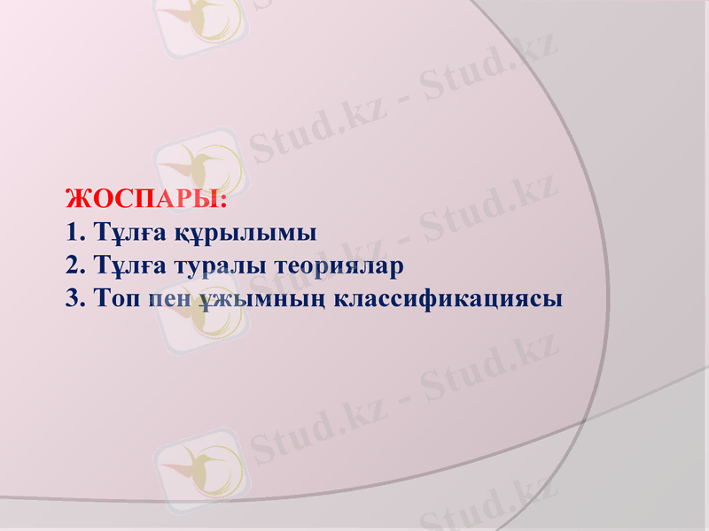 Slide 3