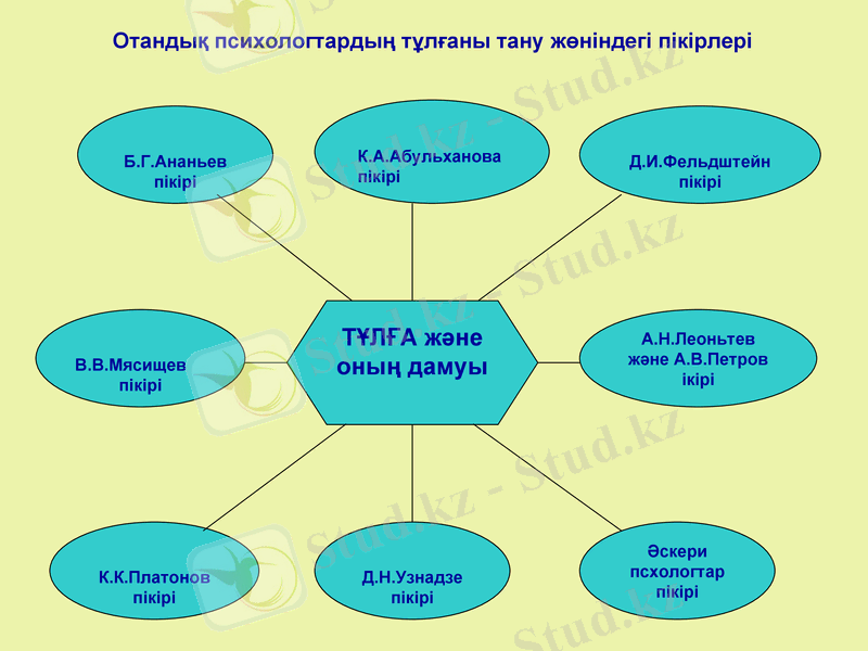 Slide 8