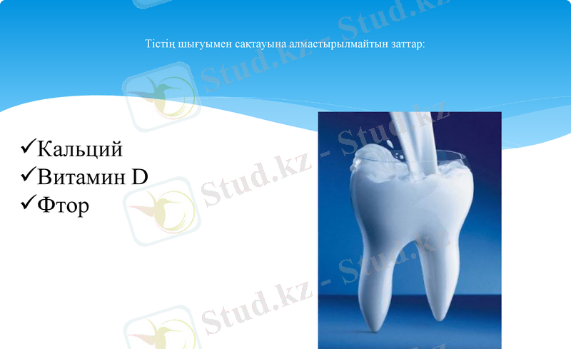 Slide 25