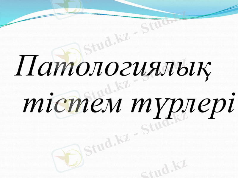 Slide 26