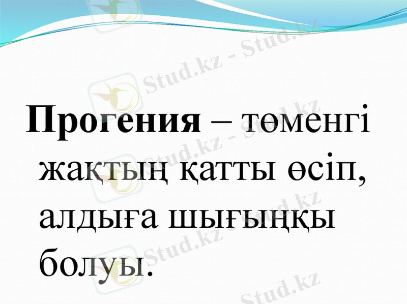 Slide 28