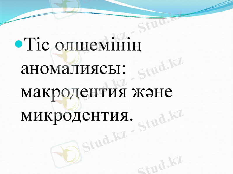 Slide 7