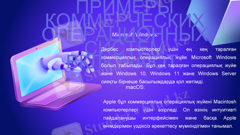 Slide 5
