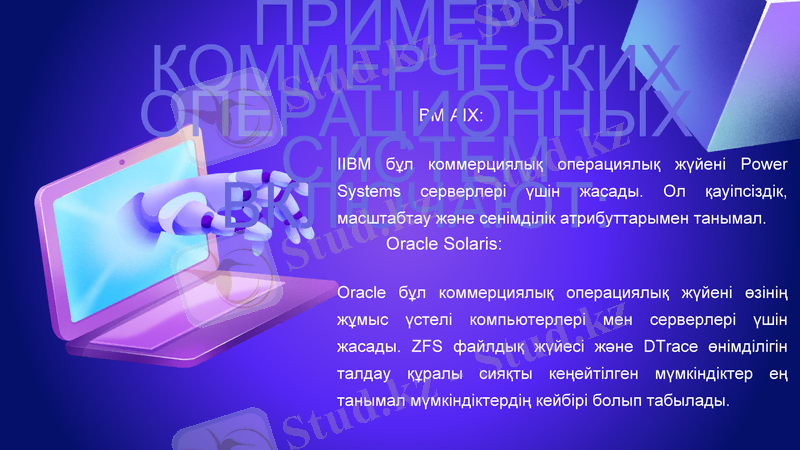 Slide 6