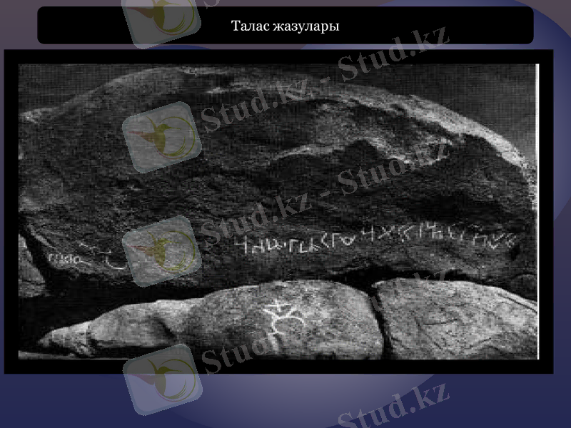 Slide 10