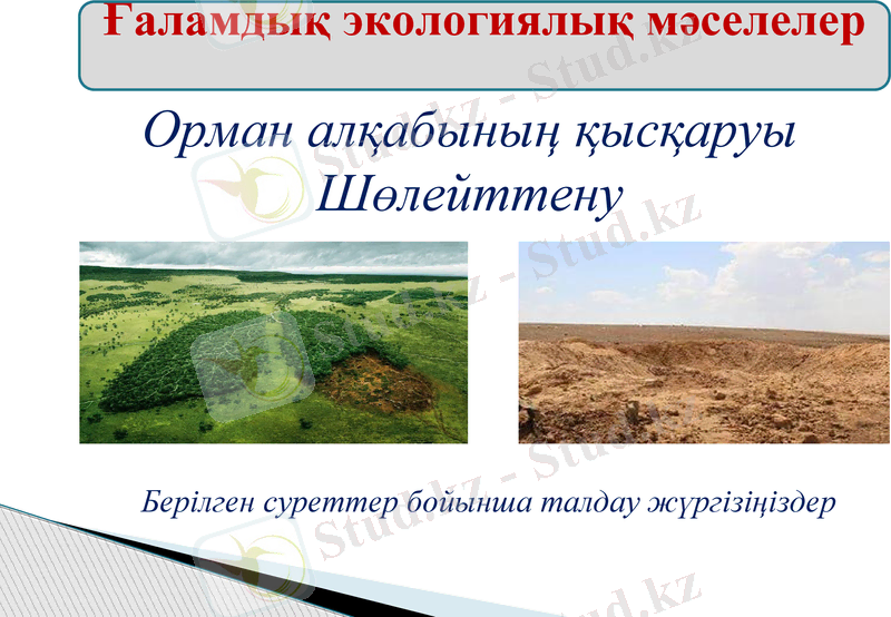 Slide 10