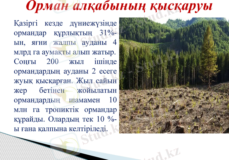 Slide 11