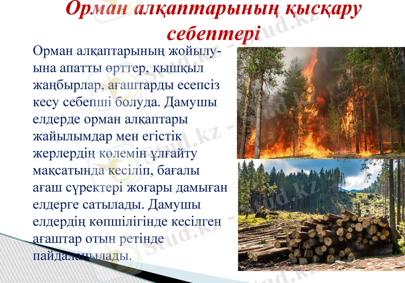 Slide 12