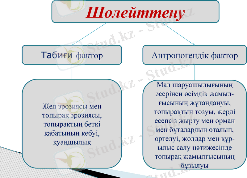 Slide 13