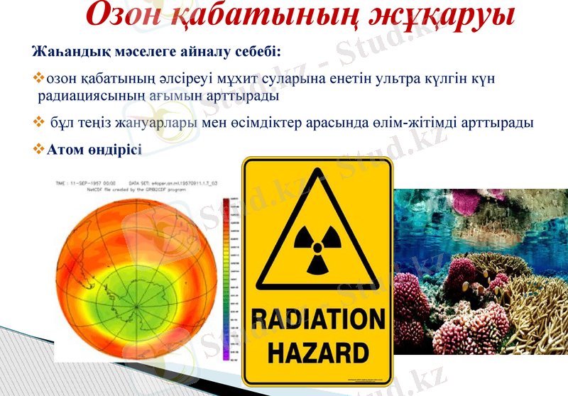 Slide 16