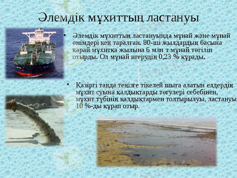 Slide 19