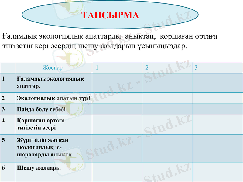 Slide 23