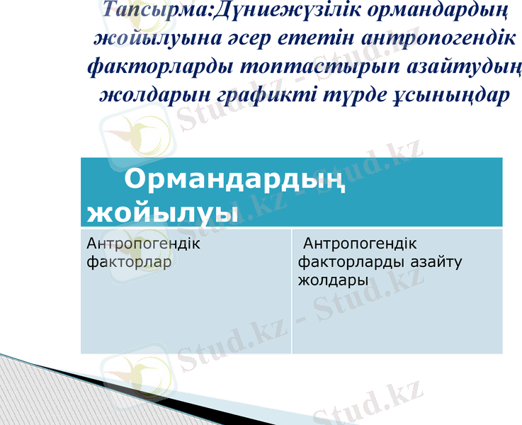 Slide 24