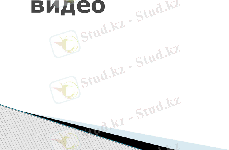 Slide 9