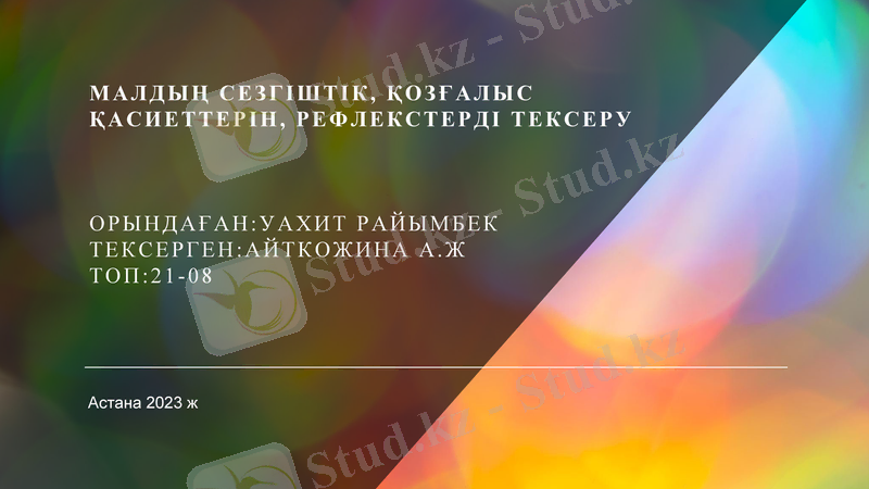 Slide 1