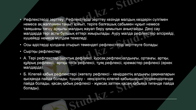 Slide 7