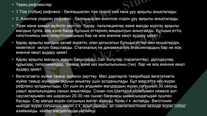 Slide 9