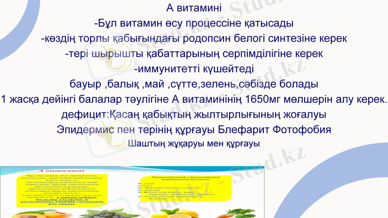 Slide 11