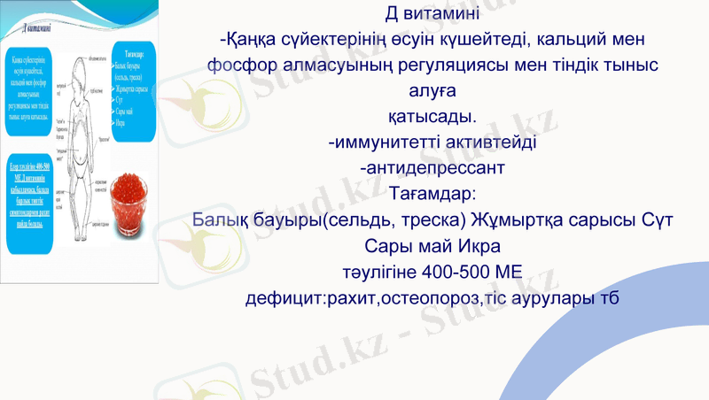Slide 12