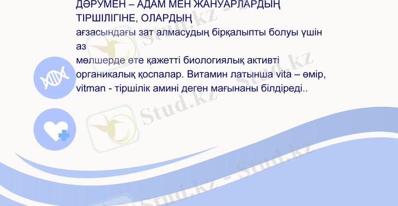 Slide 8
