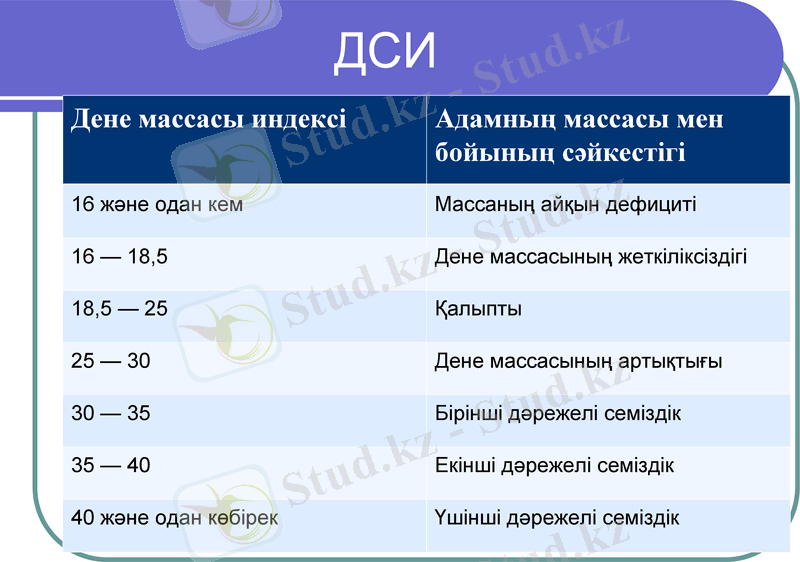Slide 16