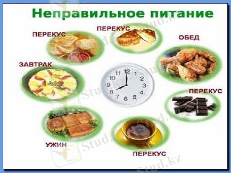 Slide 7
