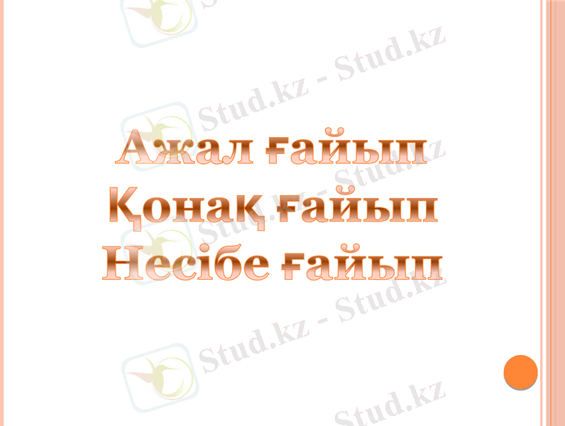 Slide 7
