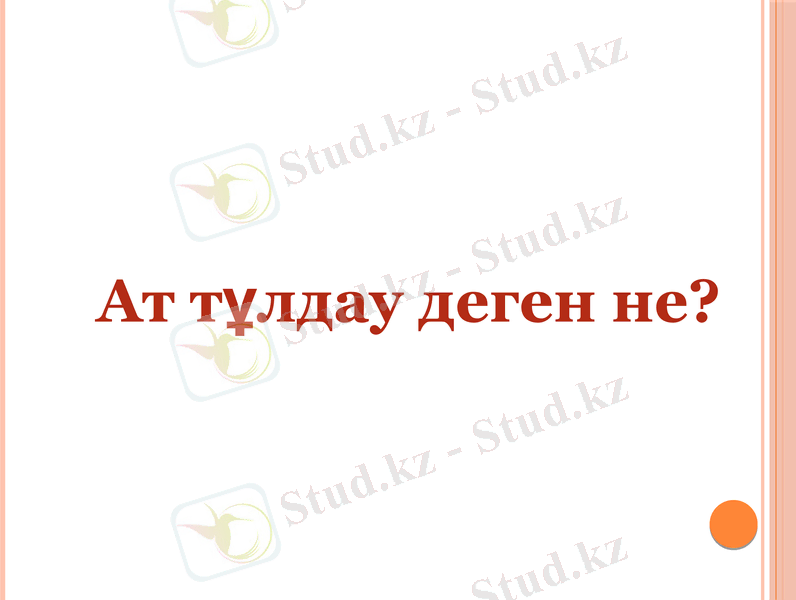 Slide 8