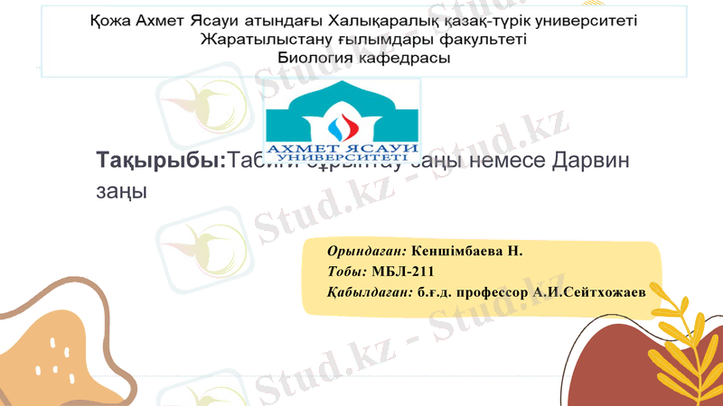 Slide 1