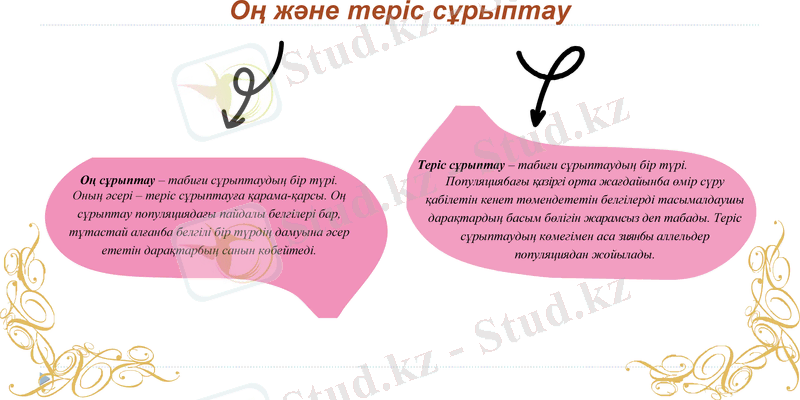 Slide 10