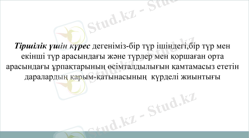 Slide 11
