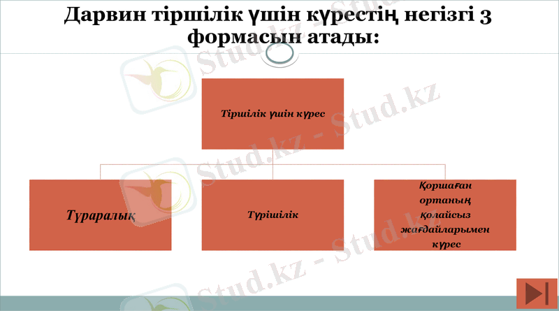 Slide 12