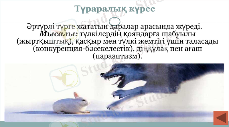 Slide 13